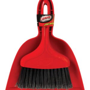 Whisk Broom with Dust Pan
