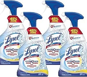 Lysol All Purpose Cleaner - Man