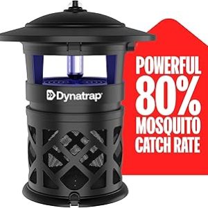 OutDoor Fly Trap